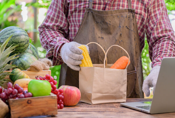 A Container Blanket Can Help Your Shipment Of Fruits