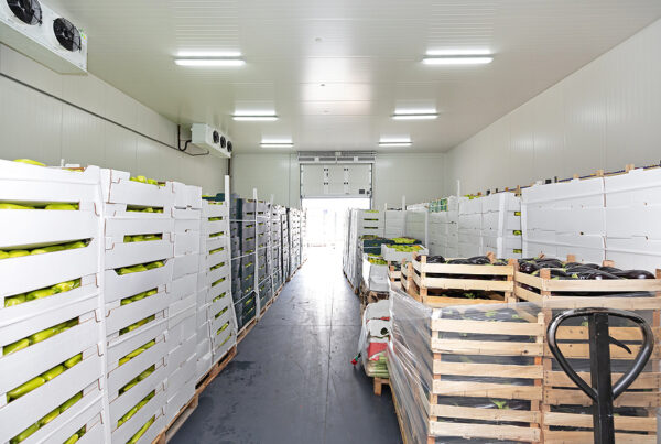 Cold Chain Packaging Options For Fruits