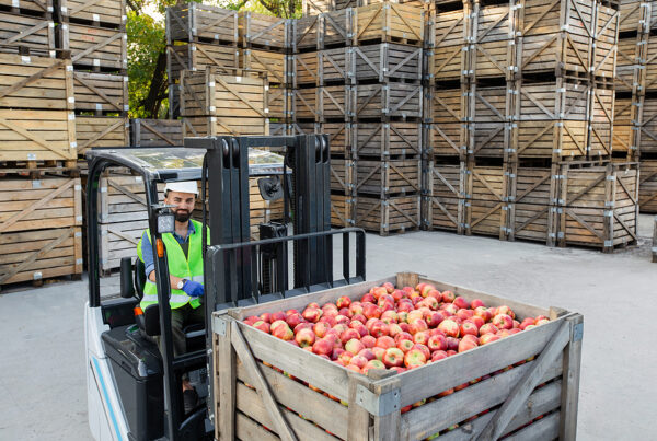 Thermal Blanket For Food Transportation: Optimization For Fruit Shippers