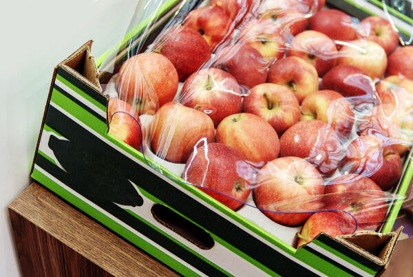 Fruit Shipping Is Part Of Cold Chain Logistic