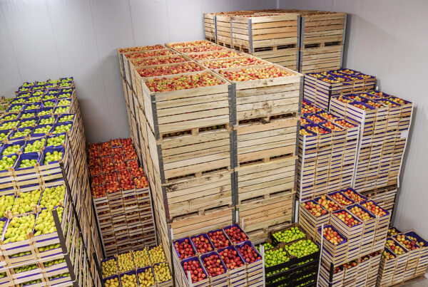 Maximizing Freshness: The Benefits of Passive Temperature Control in Shipping Fruits